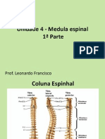 Unidade 4 - Medula Espinhal-Prof Leonardo Francisco