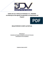 Trabajo Sobre El Caso CELGUSA