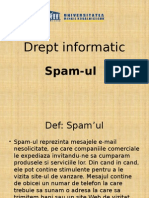 Drept Informatic SPAM 