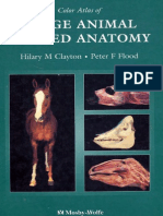 Color Atlas of Large Animal Applied Anatomy, 1st Edition (1996)