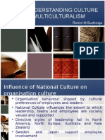 Ihrm - Understanding Culture and Multiculturalism: Rohini M Budhiraja