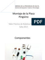 Montaje de La Placa Pingüino