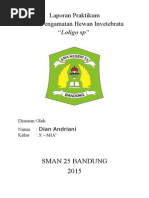 Download Laporan Praktikum Cumi Cumi Invetebrata2 by 1245667 SN257222297 doc pdf