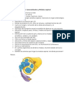 SISTEMA NERVIOSO: Generalidades y Médula Espinal