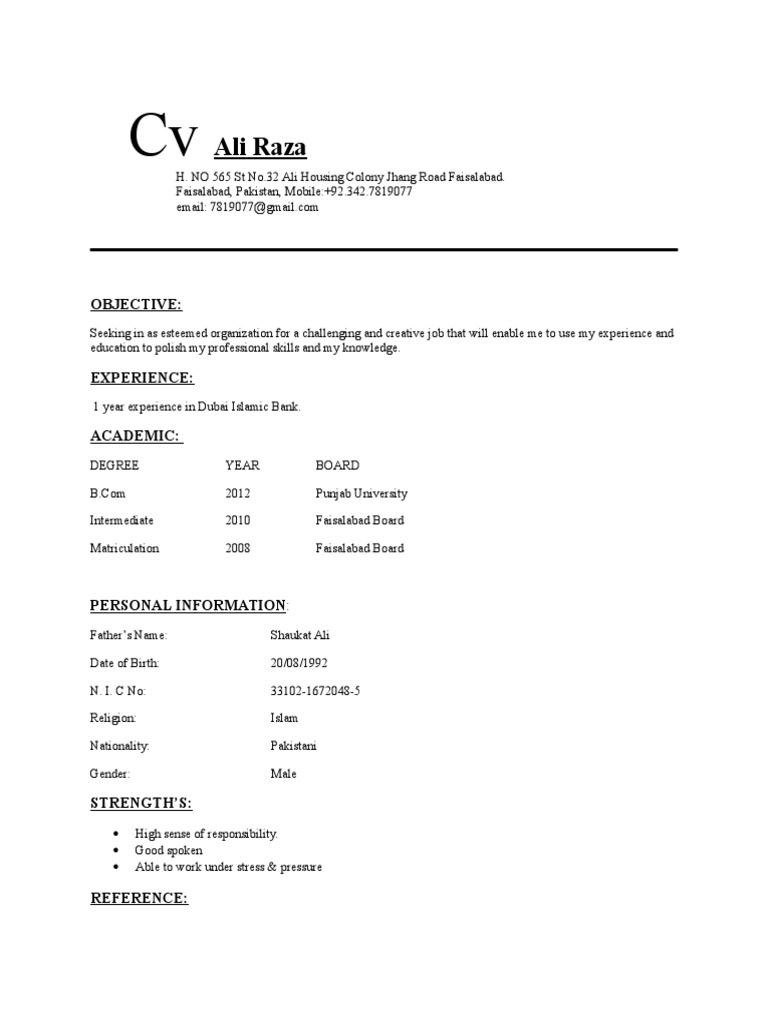 CV Ali Raza | PDF