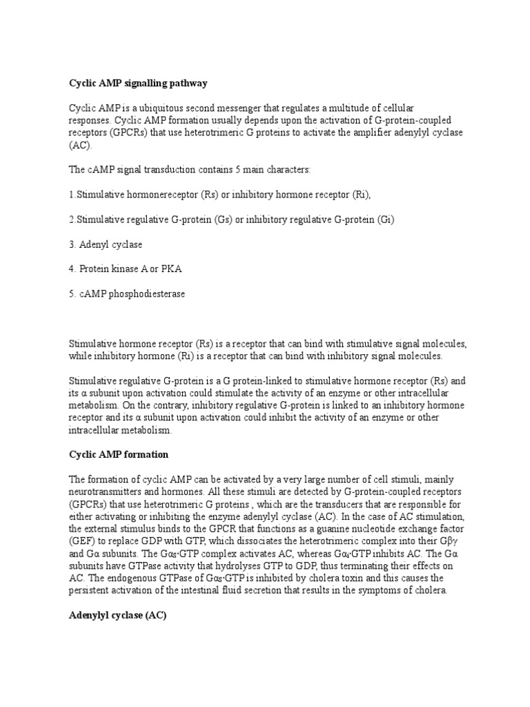 Cyclic AMP Signalling Pathway PDF G ProteinCoupled Receptor