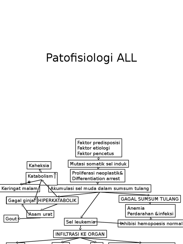 Patofisiologi ALL | PDF