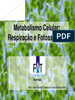 Metabolismo Celular - Fotossintese e Respiração