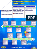 Diferencia Entre Programador Junior, Semi Senior y Senior PDF