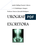Urografía Excretora