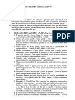 Como Ter Uma Vida Excelente PDF