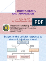 K12- Cell Injury (New)