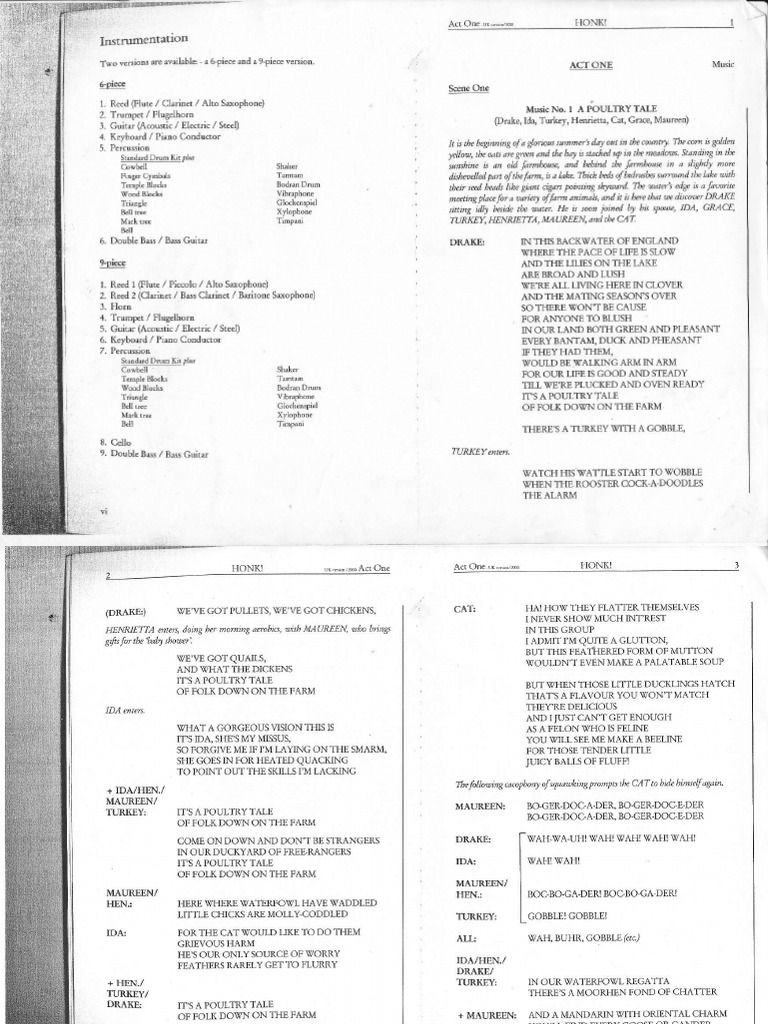 Honk Script | PDF | Musical Instruments | Birds