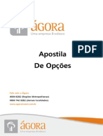 Apostila_ Opções_2012