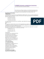 ALGUNOS APUNTES SOBRE Fisiologia y Metabolismo Bacteriano