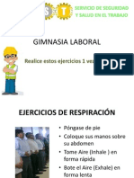 Gimnasia Laboral Minem