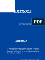 ArtRoza