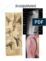 Luxacion Escapulohumeral Clase