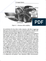 40.pdf