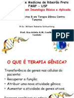 Palestra Terapia Gênica FMN