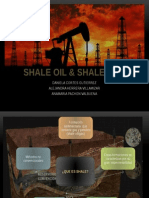 Shale Oil & Shale Gas 