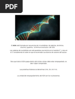 Bgm Transcripcion 18 Ppt Rna Adn