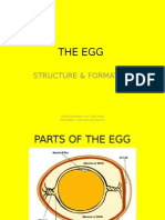 The Egg