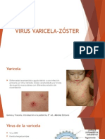 Virus Varicela Zóster