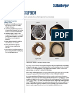 2013 Schlumberger - Pipesim Flow Assurance