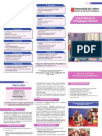 Plegable_pedagogia.pdf