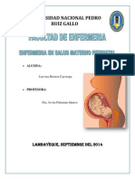 Alimentacion en El Embarazo y Puerperio PDF