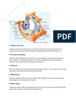 Biologi Sel