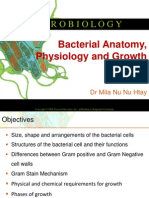 Bacterial Anatomy & Physiology