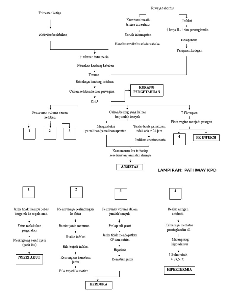Pathway KPD dan Risiko Intranatal | PDF | Kesehatan Holistik | Sains ...