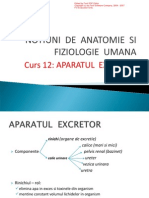 Aparatul_excretor.pdf