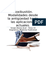 La Moxibustión Tema 14