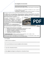 Ficha 8 Ano - Recursos Energeticos Nao Renovaveis