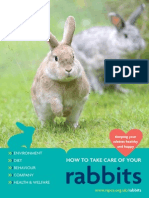 Rabbit Care Booklet