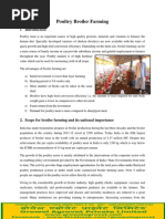 NABARD broiler farming project.pdf