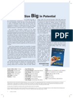 Small Cap 400 PDF