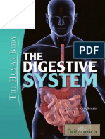 The Human Body - DigestiveSystem