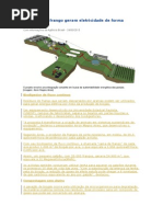 Resíduos de Frango Geram Eletricidade de Forma Contínua