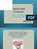 Plasticidad Cerebral