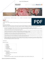 Injuries - Forensic Pathology Online