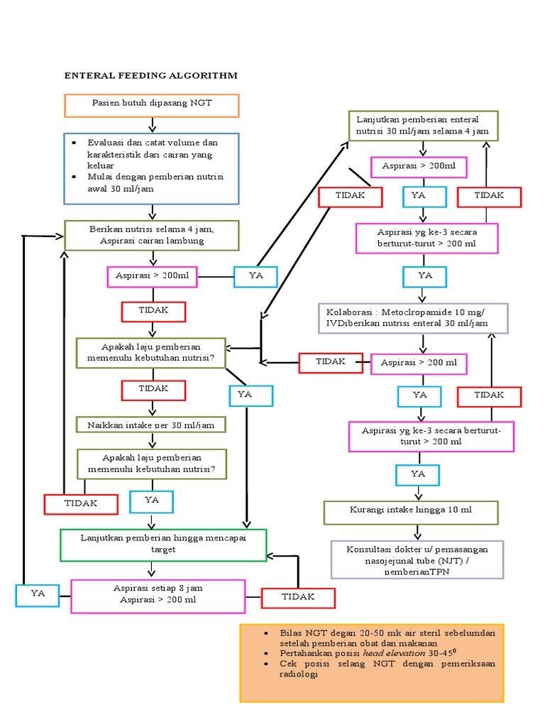 Enteral Feeding Algorithm | PDF