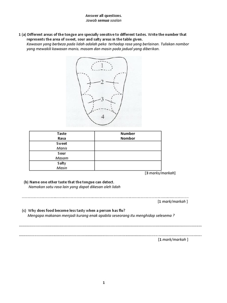 Contoh Soalan Dan Jawapan Sains Upsr Bahagian B - Soalan bt