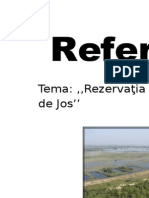 Referat Prutul de Jos