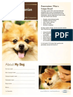 Pomeranian Electronic Handout_PDF