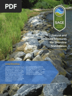 Living Shoreline Brochure