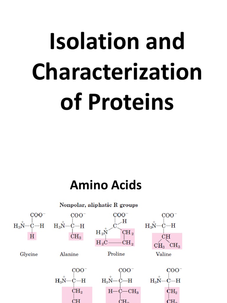 Isolation and Characterization of Proteins PDF Proteins